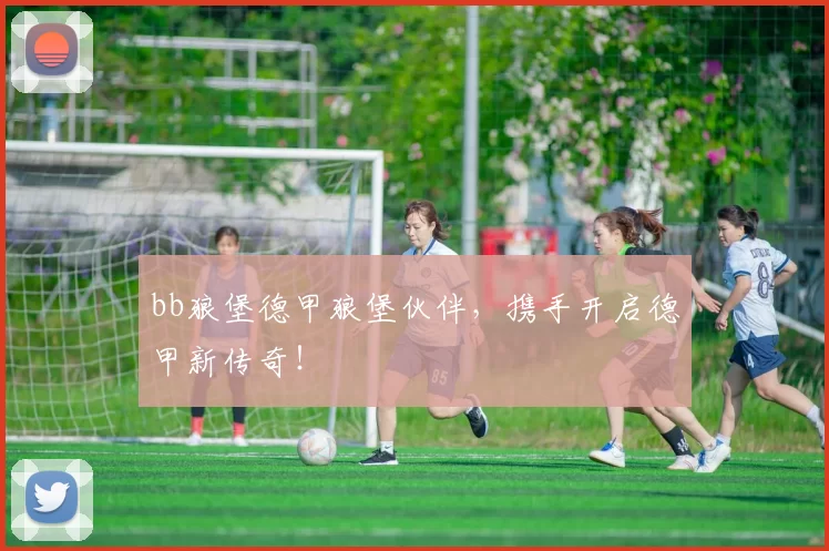 bb狼堡德甲狼堡伙伴，携手开启德甲新传奇！