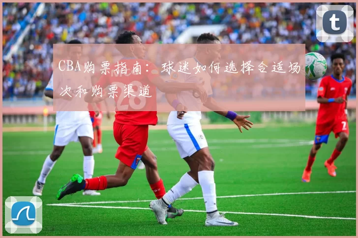 CBA购票指南：球迷如何选择合适场次和购票渠道