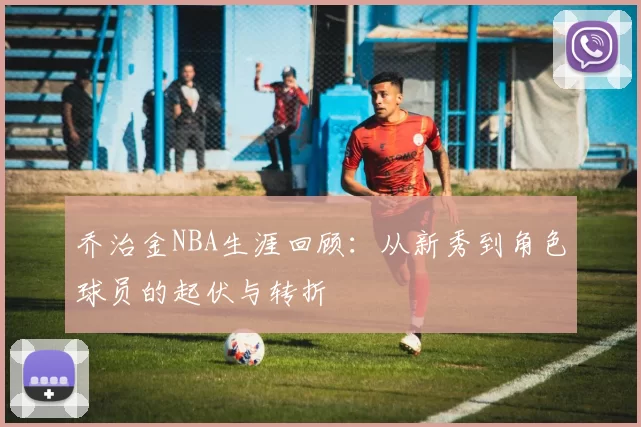 乔治金NBA生涯回顾：从新秀到角色球员的起伏与转折