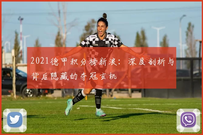 2021德甲积分榜新浪：深度剖析与背后隐藏的夺冠玄机