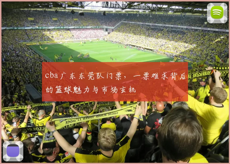 cba广东东莞队门票，一票难求背后的篮球魅力与市场玄机